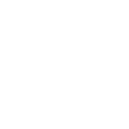 The-HS